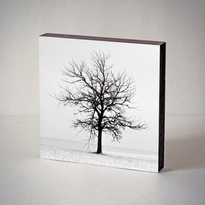 B&W Tree Photography, Lone Tree - Wood Photo Block, Winter Tree Silhouette, Tree Wall Art, Ready to Hang, Desk Art Decor, Minimalistic