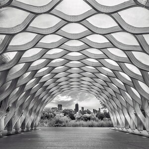 Puede incluir: Una fotograf&iacute;a en blanco y negro de una estructura de madera con un dise&ntilde;o de celos&iacute;a. La estructura est&aacute; abierta por un lado, revelando una vista de un horizonte urbano en la distancia.