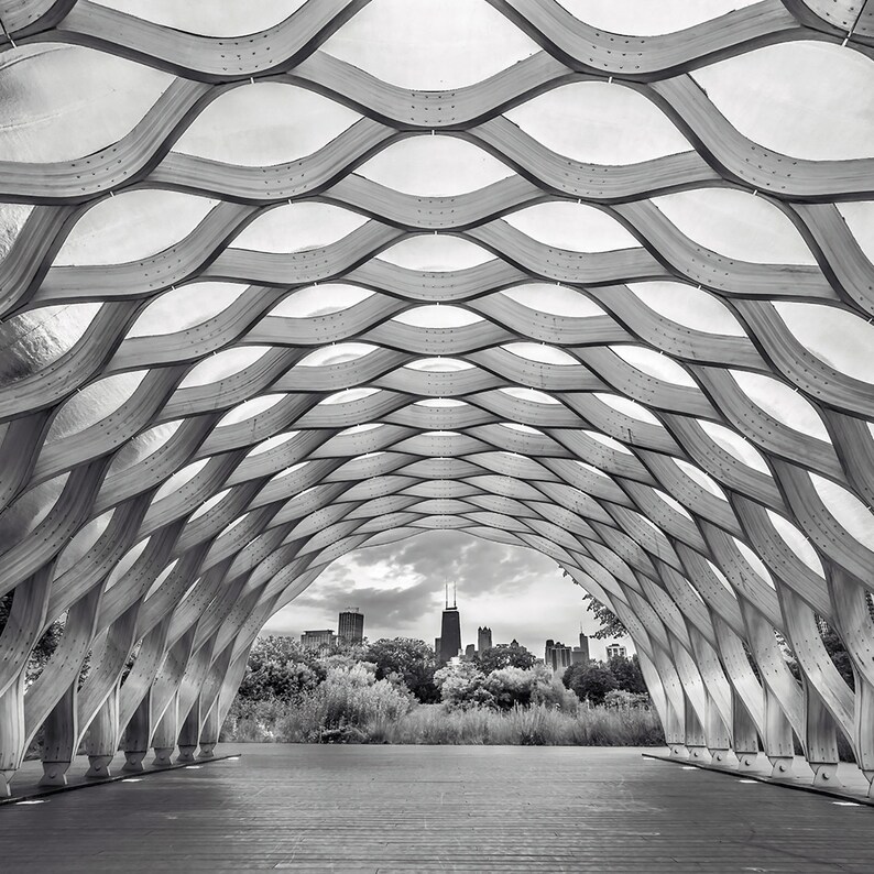Puede incluir: Una fotograf&iacute;a en blanco y negro de una estructura de madera con un dise&ntilde;o de celos&iacute;a. La estructura est&aacute; abierta por un lado, revelando una vista de un horizonte urbano en la distancia.