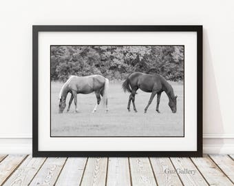 B&W Horse Photography, Horse Wall Art, Horse Decor, Horse Lovers, Equine Art, Horses on Canvas, Horse Photo Framed, Horse Lovers Gift