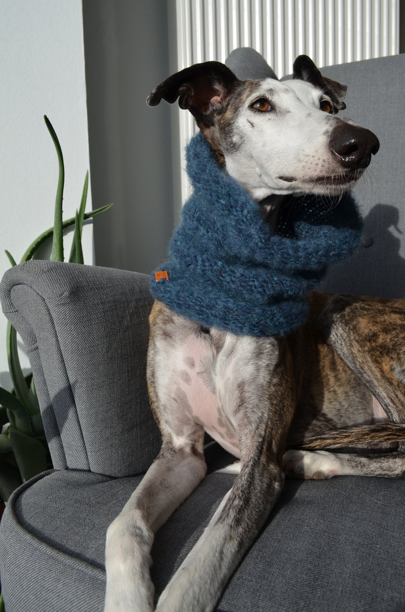 Blauer Hund Snood Windhund Schal flauschige Snood Etsy