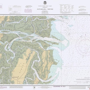 Altamaha Sound Georgia Karte 1988 - Seekarte Print