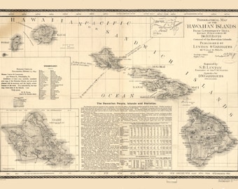 Hawaiian Islands Topographical Map 1893 - Nautical Chart Print