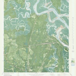 Harriets Bluff Georgia Map 1980 - Nautical Chart Print