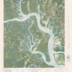 May include: A topographic map of Brunswick West, Georgia, showing the winding waterways of the Brunswick River and its tributaries. The map includes details of the surrounding land, including roads, buildings, and vegetation. The map is printed on a light brown background with blue lines representing the waterways.