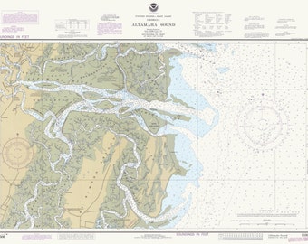 Mapa do Estreito de Altamaha - Geórgia - 1985 - Impressão de Carta Náutica