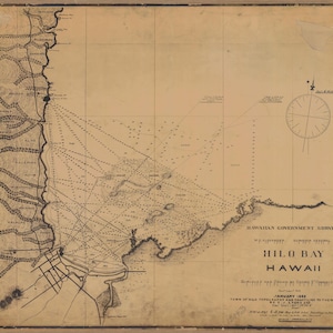 Hawaii Karte - Hilo Bay - 1882 - Seekarte Druck