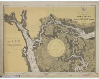 Whale Branch Passage Map between Coosaw and Broad Rivers - South Carolina 1931