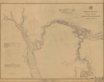 Whale Branch Passage Map between Coosaw and Broad Rivers - South Carolina 1875