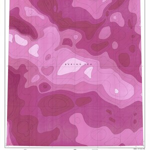 Bering Sea Gravity Map 1711N-17G