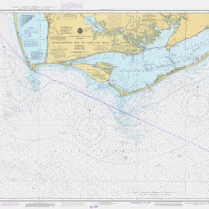 Apalachicola Bay to Cape San Blas - Historische Karte 1983 - Seekarte Druck