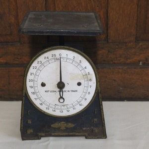 Blue 25lb Kitchen Scale