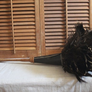Antique Feather Duster