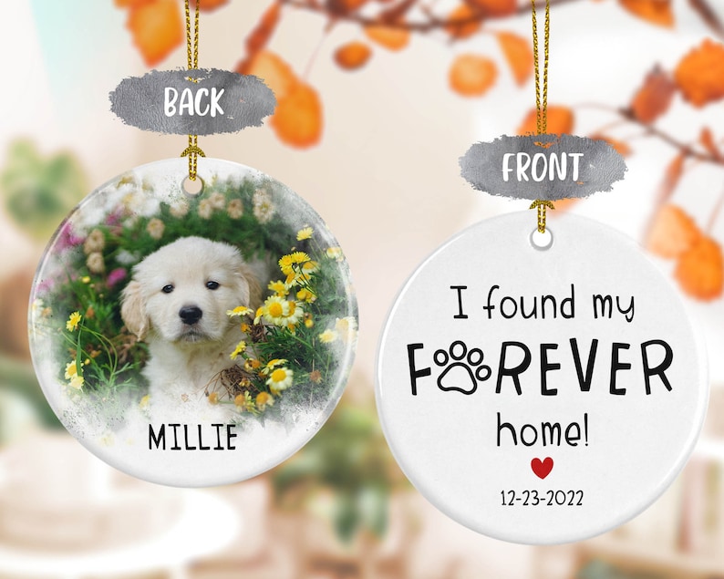 Personalized Dog Ornament, Pet Photo ornament, Cat Adoption Gift, Dog Adoption Gift, Pet Adoption Rescue, Custom Christmas Decor - CHO026 imagem 1