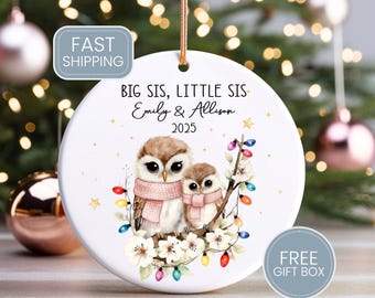 Big Sister Little Sister Ornament, Sister Ornaments Personalized, New Big Sister Gifts, Sibling Ornament Owl Christmas Ornament - CHO076