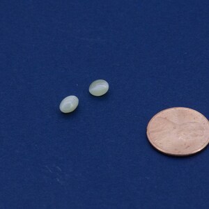 Natural Chrysobarrel Cat&#39;eye 5x6 mm appx 2 pcs best eye on it with proper light. ( Pack of 2 pcs)