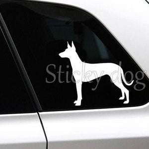 Pharaoh hound silhouette dog sticker