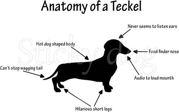 Short Haired Dachshund Teckel Sticker Dog Silhouette Etsy