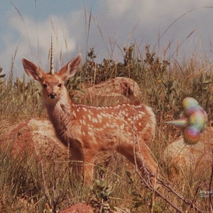 Impressão de cartão postal de 4" por 6", arte alterada de brechó "Baby Unicorn Fart"