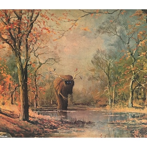 11" by 14" "Forest Creature with Birds" Altered Thrift Store Art Print