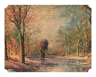 11" by 14" "Forest Creature with Birds" Altered Thrift Store Art Print
