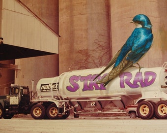 4" by 6" postcard print, "Stay Rad" Altered Thrift Store Art