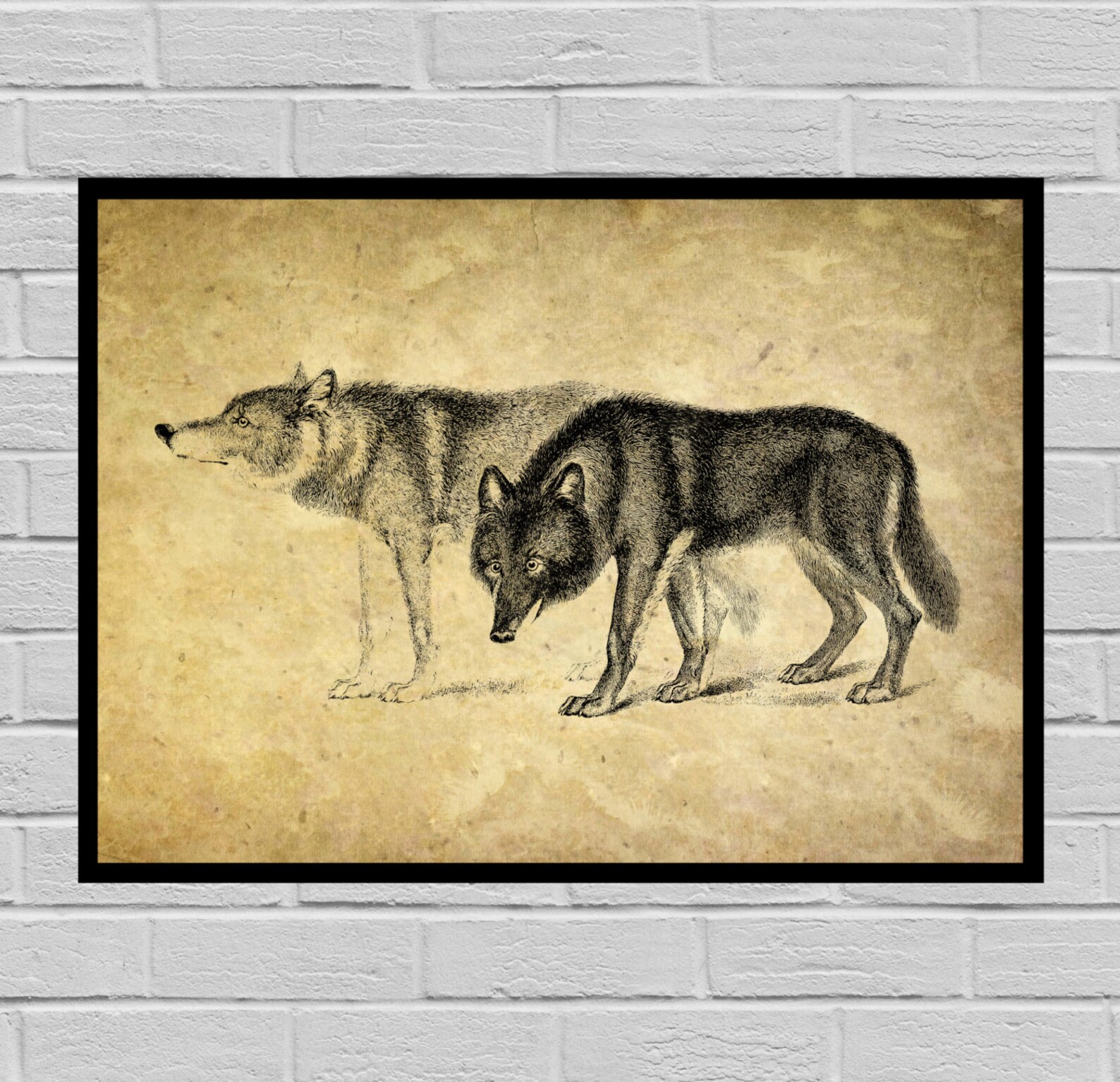 wolf express printing wolf express printing
