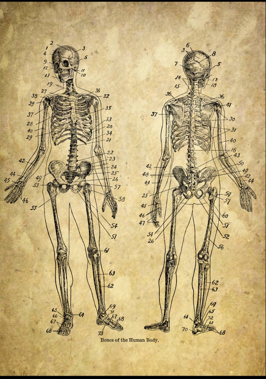 20x30 frame inches Paper print Vintage Antique page Old Skeleton Dictionary 20x30 frame inches Paper print Vintage Antique page Old Skeleton Dictionary
