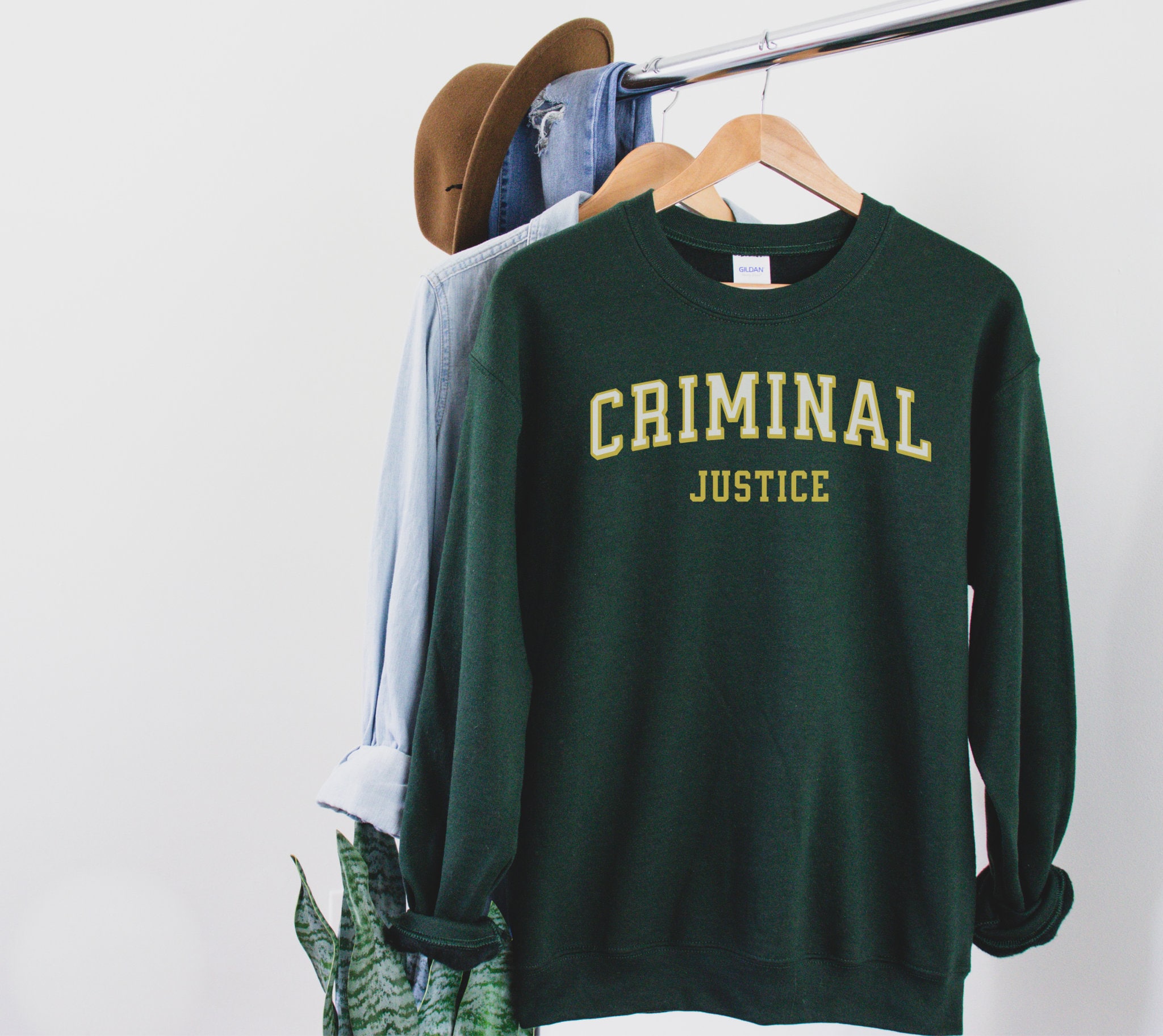 criminal justice, College Major, University Degree, Master of Criminal Justice, sweatshirt, long sleeve, crewneck, gift student
