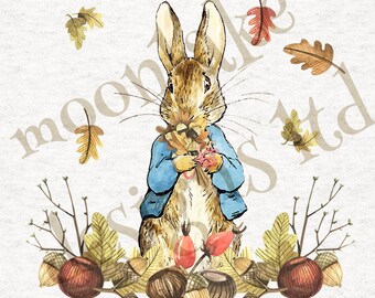 12x12 inch Sewing Six little Peters Printed Fabric Panels Craft Peter Rabbit Upholstery