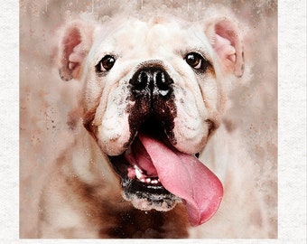Bulldog Puppy,  grunge splatter |Fabric Craft Panels 100% Cotton or Polyester