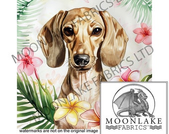 Isabella Dackel Portrait mit Frangie 100% natürliche Baumwolle oder 290 g / m² dicke weiche Polyester Fabric Panel Squares