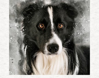 May include: A watercolor-style portrait of a Border Collie dog. The dog has black and white fur with a white stripe down its face and a fluffy white chest. The dog's eyes are a warm brown color. The background is a gray watercolor wash.