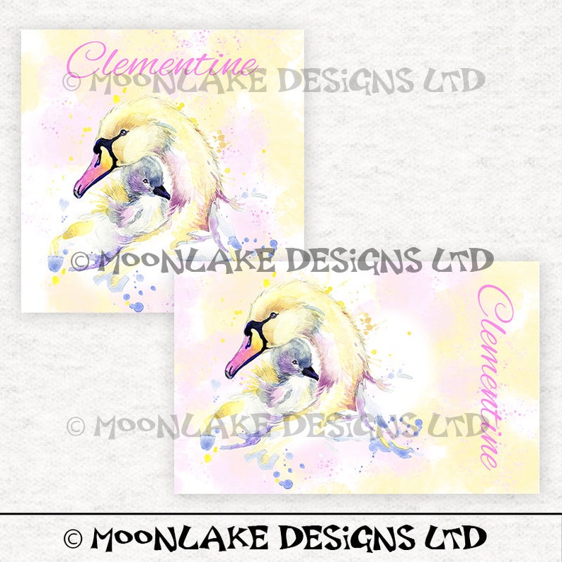 Swan and Signet Fabric Panel Great for Crafting, Sewing, Patchwork ...