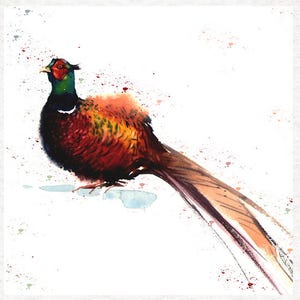 Pheasant, Delicate (watercolour splatter original) -Fabric Craft Panels 100% Cotton or Polyester