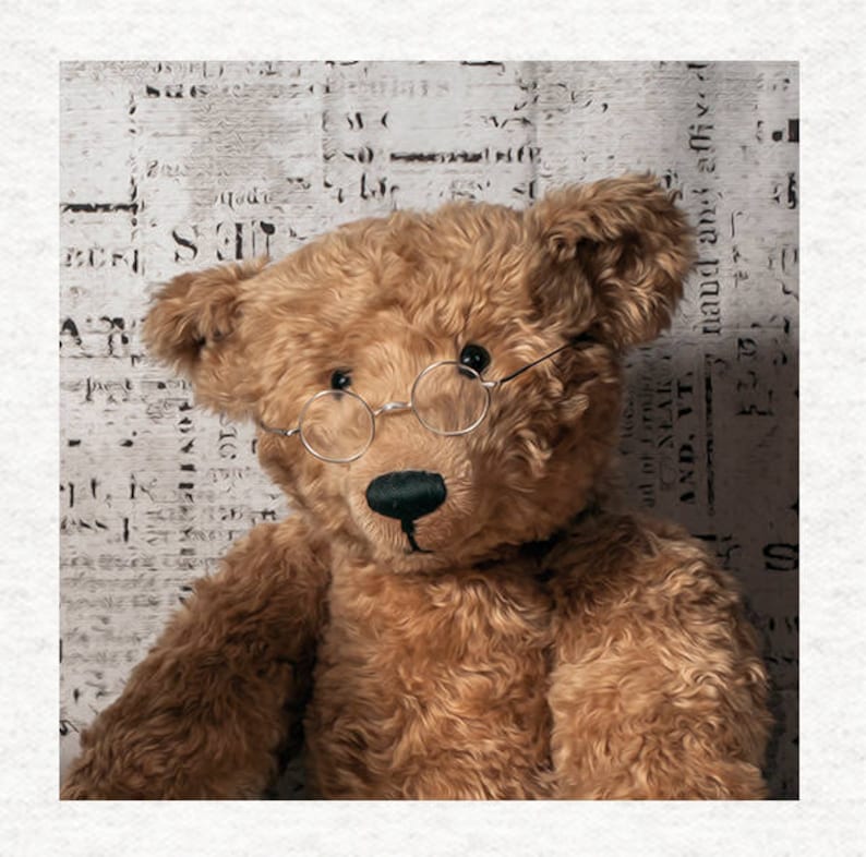 100 year old teddy bear