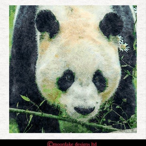 Panda watercolour print |  Fabric Craft Panels in 100% Cotton or Polyester