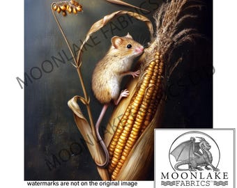 10 Pieces Large XL Organic , 100 % Bio Corn Cobs for Different