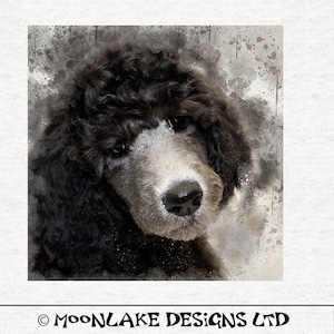 Dog - Poodle Fabric Craft Panels in 100% Cotton or Polyester
