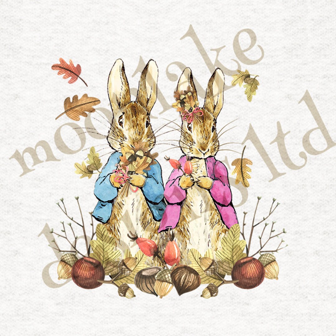 Peter Rabbit Flopsy Rabbit Foot Peter Rabbit and Flopsy Rabbit | Upholstery | Sewing | Craft | Printed ...