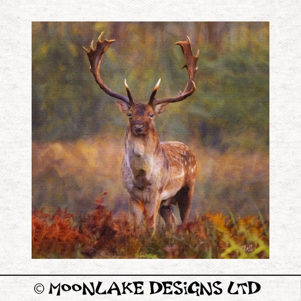 Stag Autumn Forrest   Fabric Craft Panels in 100% Cotton or Polyester