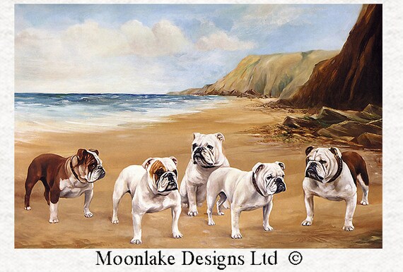 British Bulldogs on the Beach, 60x40cm, in 100% Light quality Cotton 130gsm or Thick Soft Polyester 290gsm
