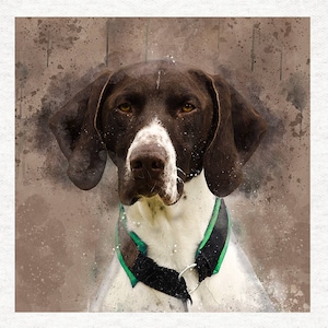 Pode incluir: Um cão Braco Alemão de Pêlo Curto marrom e branco com uma coleira verde e preta. O cão está olhando diretamente para a câmera com uma expressão séria. O fundo é um efeito aquarela desfocado marrom e branco.
