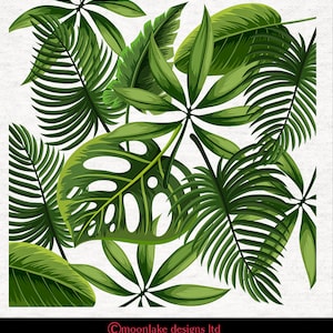 Motif de feuilles de palmier tropicales | Rembourrage | | de couture | artisanale Panneaux de tissu imprimés
