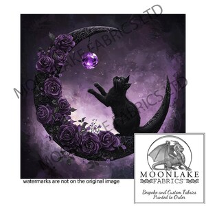 Può includere: Un gatto nero è seduto su una luna crescente con rose e viti viola. Una gemma viola pende dalla luna.