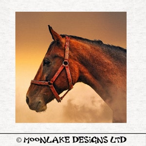 Het Paneel van het paard, olie en water digitaal paard het schilderen | Fabric Craft Panelen in 100% katoen of polyester