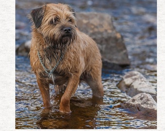 Border Terrier w imitacji oleju, zabawa z rzeką, panel z tkaniny | Pikowanie | Szycie | Rękodzieło | Panele z tkaniny z nadrukiem
