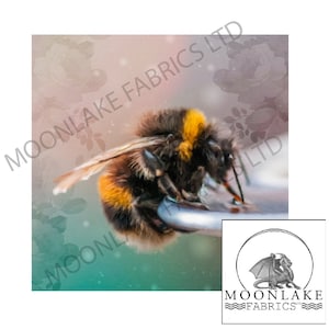 Bumble Bee Drinking from a bee fountain Fabric Craft Panels 100% Cotton or Polyester
