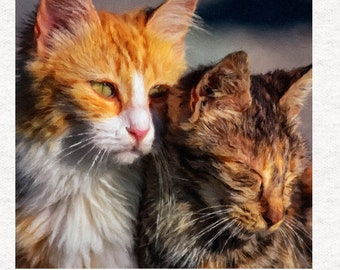 Cats, Two watercolour cats snuggling | Upholstery | Sewing | Craft | Printed Fabric Panels