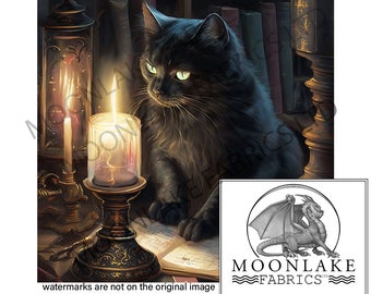 Puede incluir: Un gato negro con ojos verdes se sienta en una habitación tenuemente iluminada, mirando fijamente una vela encendida en un candelabro. La habitación está decorada con estanterías y otros objetos antiguos.